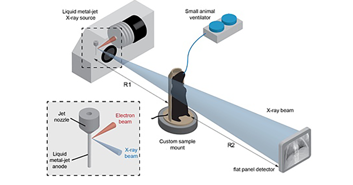 High resolution propagation-based imaging system for in vivo dynamic computed tomography of lungs in small animals