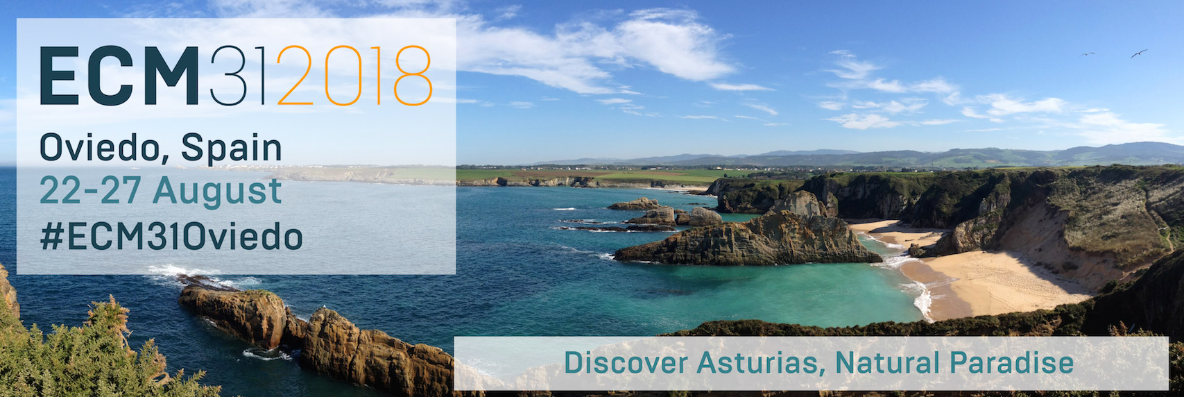 31st European Crystallographic Meeting