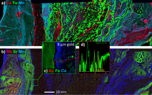 Fluorescence Spectroscopy and Microscopy: Methods and Protocols